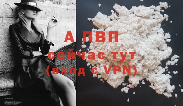 крисы Богородицк