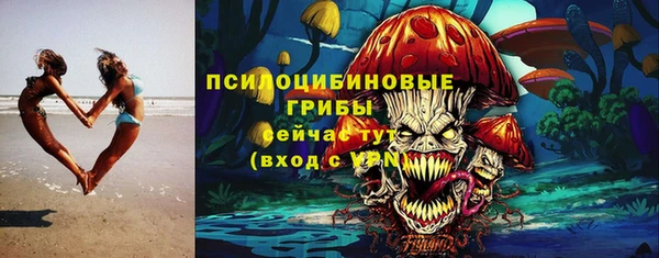 твердый Бородино