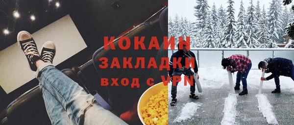 крисы Богородицк