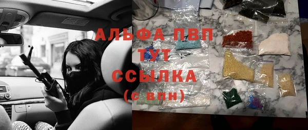 твердый Бородино